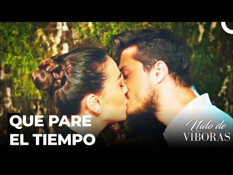 Los Labios Se Reencontraron - Nido De Víboras