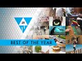 WIN Compilation Best of 2020 (Videos of the Year) | LwDn x WIHEL