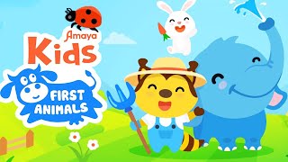 Animals Learning For Kids - Play And Learn Animals Names and Sounds - Amaya Kids Games