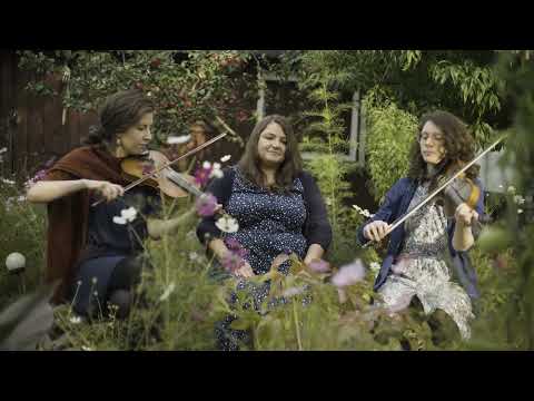 Play Video Youtube Video