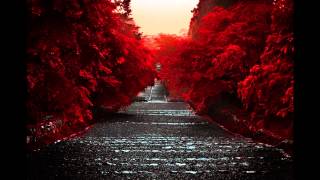 BT & Andrew Bayer - The Emergency (Marcus Schossow Remix) [HQ] [1080p HD]