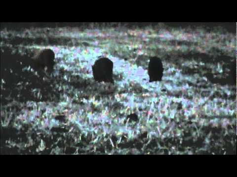 2/13/12 Feral Hog Hunt
