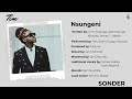Nsungeni Ft Abel Chungu Musuka