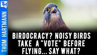 Is Democracy Our Natural State?