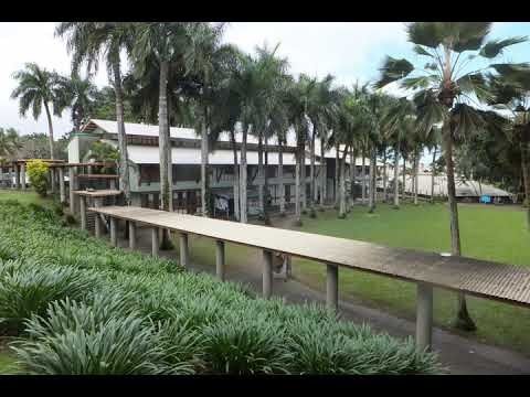 FANGUFANGUMANA 'O FUSIPALA ('UIHA) KAKALA FANGUFANGU 'O USP FIJI