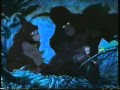 Tarzan Film