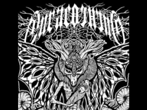 Cura Cochino - El Aventon