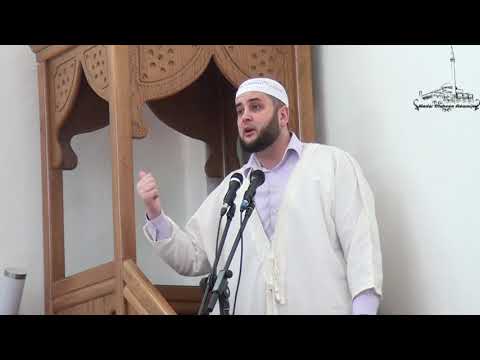 Zavist -  Prof.  Sead Ef. Islamovic