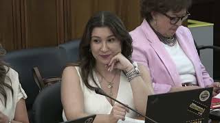 2026 05 26 - Covid-19: Audição da Diretora-Geral da Saúde