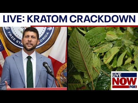 Video | KRATOM: Florida man talks drug called "legal morphine"