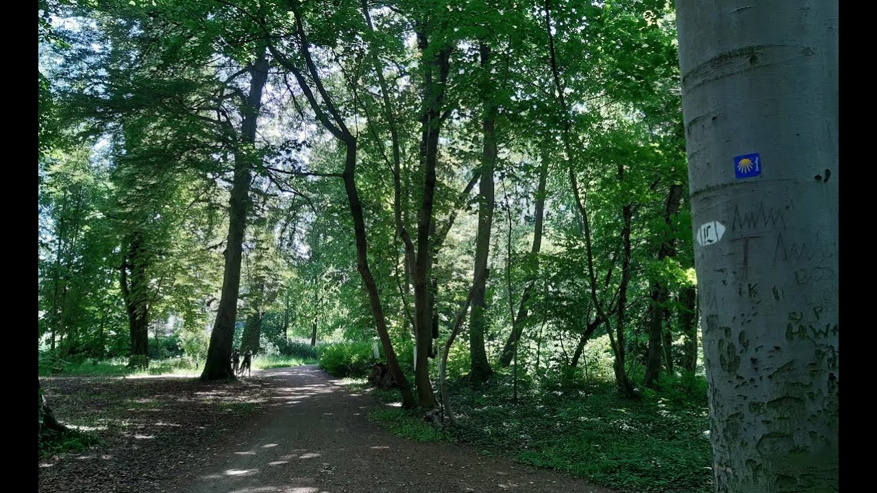 Lutherweg und Jakobsweg von Großdeuben nach Kahnsdorf 3 Juni 2022
