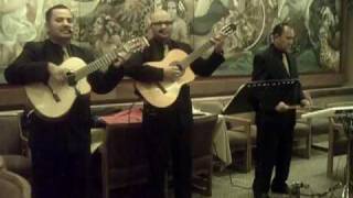 Novia Mia - Trio Premier