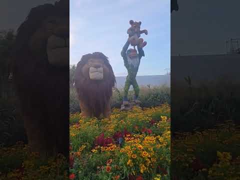 Lion King In Flowers Epcot. Disney Magic.