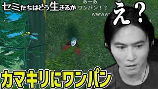 加藤純一ｾﾞﾐ、余裕ぶっこいてたらカマキリにワンパンされる【2026/10/21】