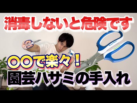 剪定鋏は庭師の手から決して遠くない