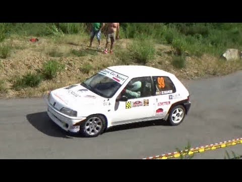 Clip Personalizzata Bianchi - Barsanti Peugeot 106 N1 Rally Golfo dei Poeti 2017
