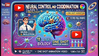 CBSE Class 11 || Biology || Neural control and coordination || Animation || in English
