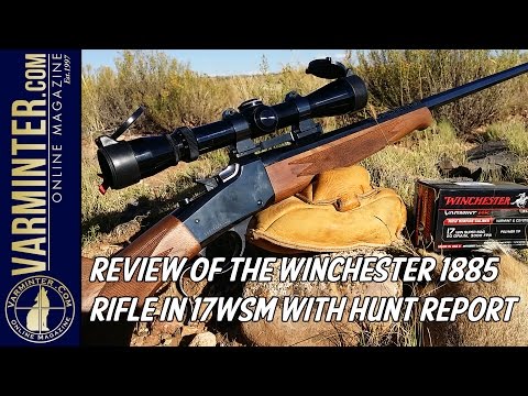 Review of the Winchester 1885 Rifle in 17WSM with Hunt Report