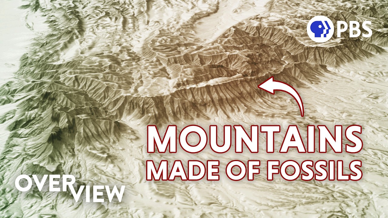 Earth's Worst Mass Extinction Is Actually a Warning