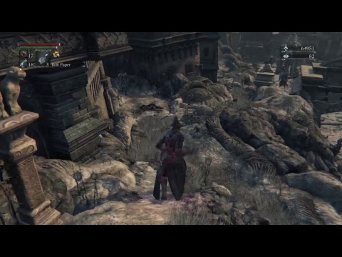 65 level bloodborne pvp