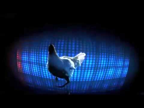 Techno Chicken!  Australian Domino's ad from 2008!