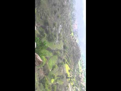 الشمــــــــــــــــــــــــــــــــــــــيرة مديرية ماوية