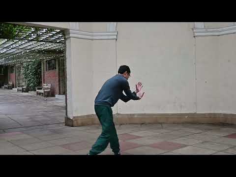 Tai Chi Momentum video.