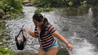 Download lagu Morning atmosphere in the cool forest with a clear river flow mp3 Download lagu Morning atmosphere in the cool forest with a clear river flow mp3