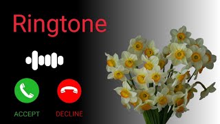 Download lagu Incoming Call Ringtone | Hindi Song Ringtone | Ringtone Download | Best Ringtone | Trending Ringtone mp3