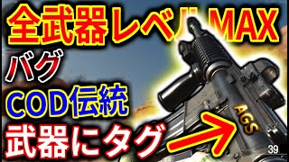 【COD:BOCW】アプデで全武器レベル最大に！！   始めるなら今！！   COD伝統の『武器プレステージ』を回してみたらバグ参戦だった件。