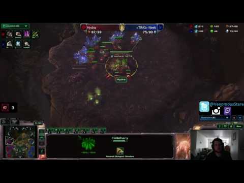 DH: Neeb (P) vs Hydra (Z) G3