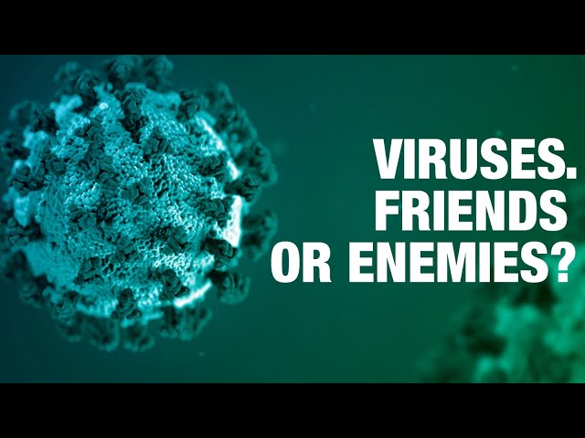 Viruses. Friends or enemies?