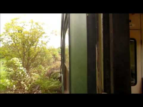 Pensiuni Moeciu Bran - Cazat.ro