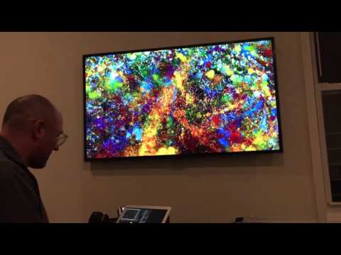 Scott Draves demos Electric Dots