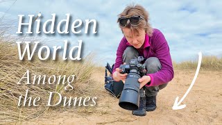 Hidden Among The Dunes - Macro Photography at Fraserburgh Beach
