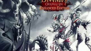 1 Divinity Original Sin Enhanced Editionディヴィ二ティ：オリジナルシンエンハンスドエディションの実況プレイ１キャラクター作成とチュートリアル