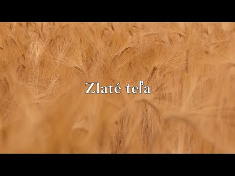 BIBLIA 17 | Zlaté teľa