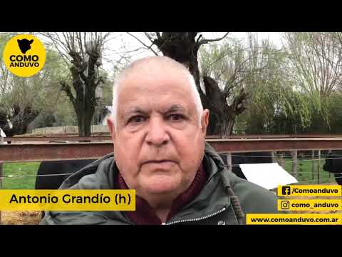 01-09-21 - Antonio Grandio - Remate de Cabaña La Paz - Tandil, Bs.As.