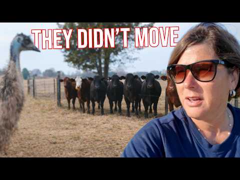 Something On Our Farm Stopped Them in Their Tracks!