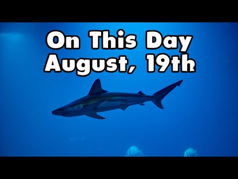 August 19th. Shark Tank, Orangutan Day, Gary Powers