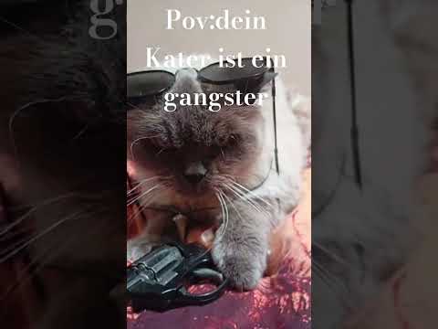 er ist echt krass 😁😂