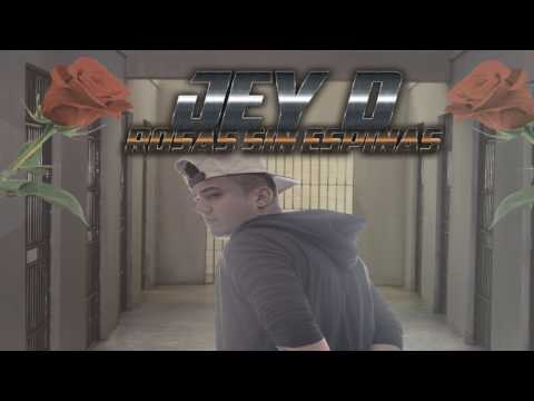 JEY D   ROSA SIN ESPINAS (  MITISTUDIO Frank Fernandez)