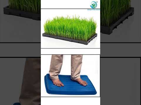 Hydroponic Tray