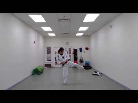 Junior/Adult Kihon Waza (Basic Techniques)