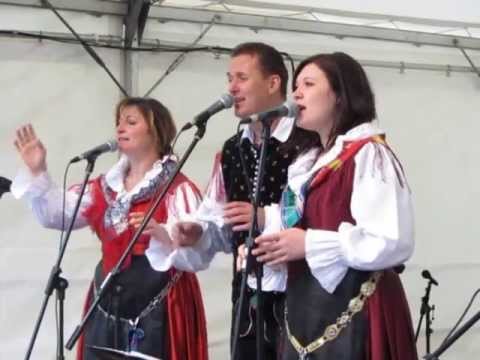 Ansambel Roberta Zupana - Dalmatinka