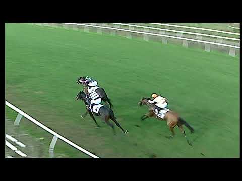 Napoli Galoppo 27/12/2021 - 1ª corsa