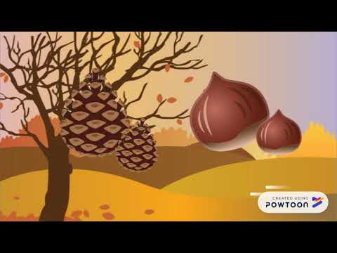 Un dia d'excursió a la muntanya (NY)