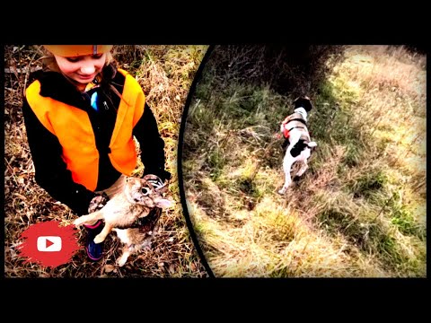 Quail and Rabbit Hunting with a German Shorthaired Pointer