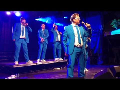 Fret tet en the swinging tepelboys parkconcerten ninove 2015