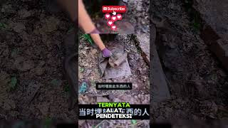 🏡🌳 Orang Ini Menemukan Patung Emas di Bekas Rumah Kuno di Dalam Hutan! 😱✨ #hartakarun #patungemas